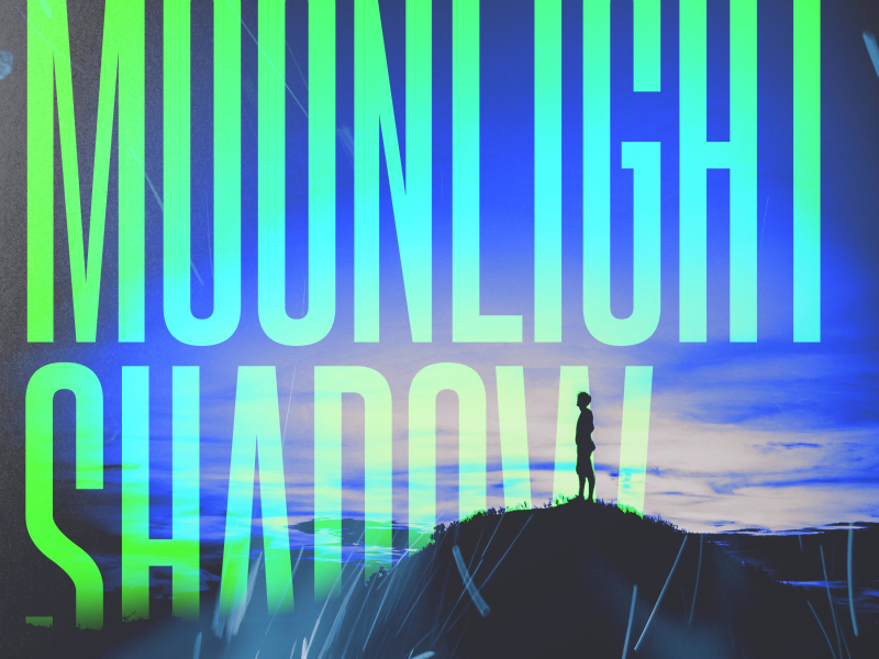 Moonlight Shadow (Techno Version) (Single)