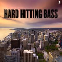 Hard Hitting Bass (Single)