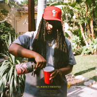 Mr. Perfect Freestyle (Single)