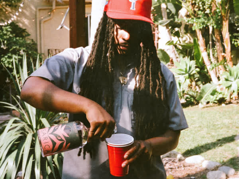 Mr. Perfect Freestyle (Single)