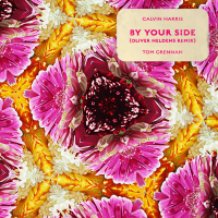 By Your Side (Oliver Heldens Remix) (Single)