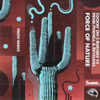 Force of Nature (Provi Remix) (Single)