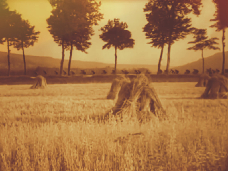 Ride Under Trees (Remixes)