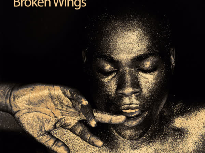 Broken Wings (Single)