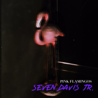 Pink Flamingos (EP)