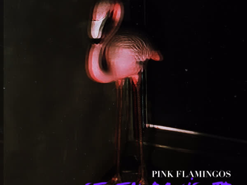 Pink Flamingos (EP)