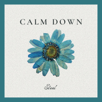 Calm Down (Single)