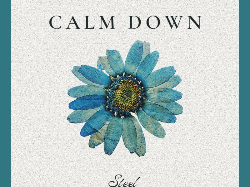 Calm Down (Single)