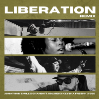 Liberation (Remix) (Single)