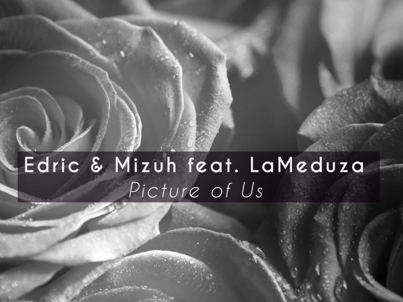 Picture of Us (feat. LaMeduza) (EP)