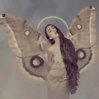 Kingdom of Disturb (Single)