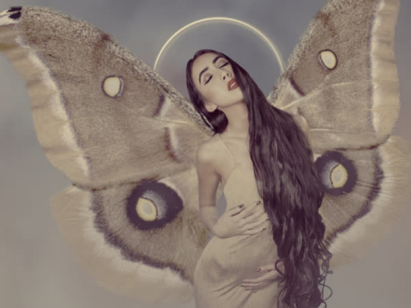 Kingdom of Disturb (Single)