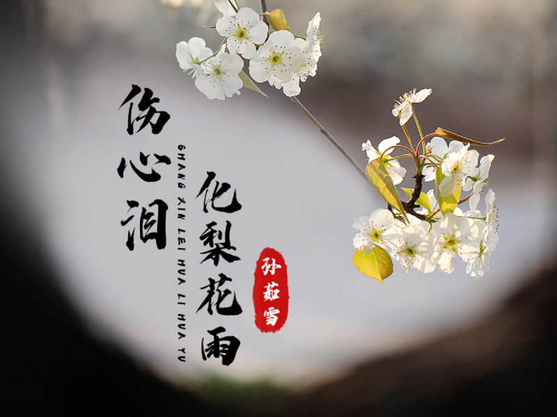 伤心泪化梨花雨 (Single)