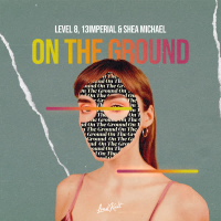 On the Ground (Single)