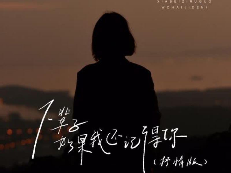 下辈子如果我还记得你 (抒情版) (Single)