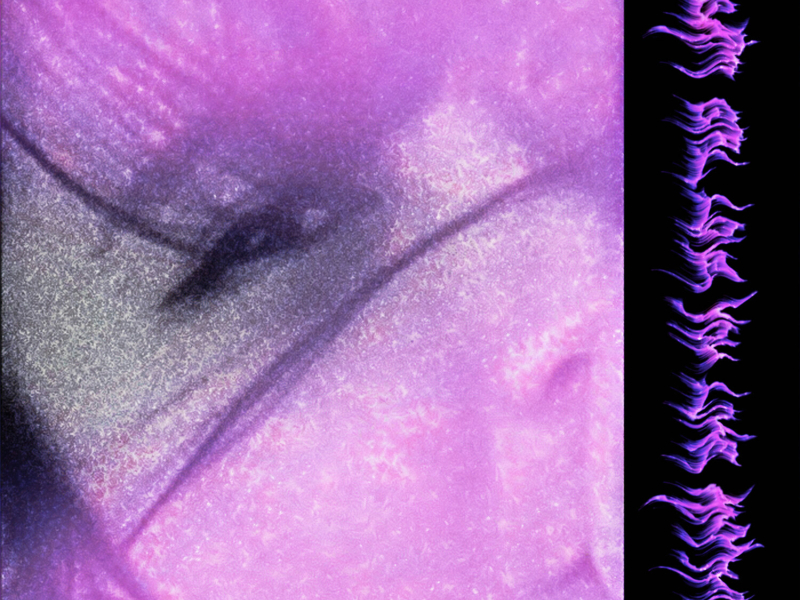 Love You Like Anything