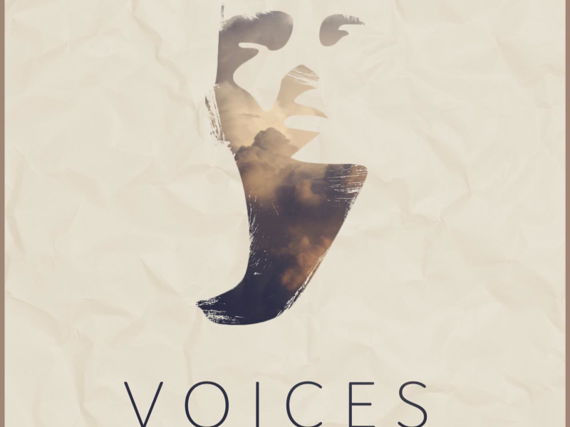 Voices (with Midnight Wolves) (feat. Matt Felix) (Single)