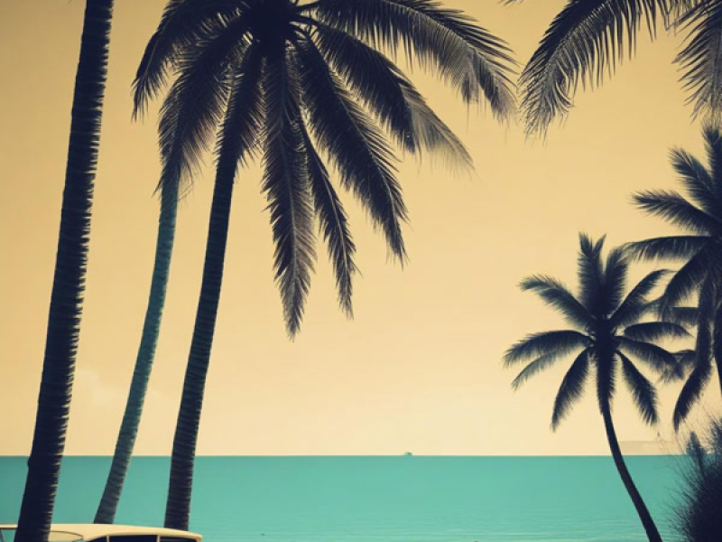 Sunshine Beach (Single)