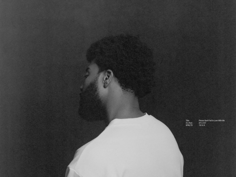 Please Don't Fall In Love With Me (EP)