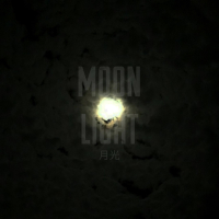 Moon Light (Single)