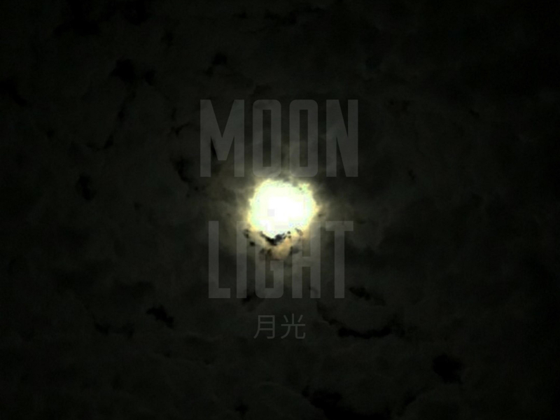 Moon Light (Single)