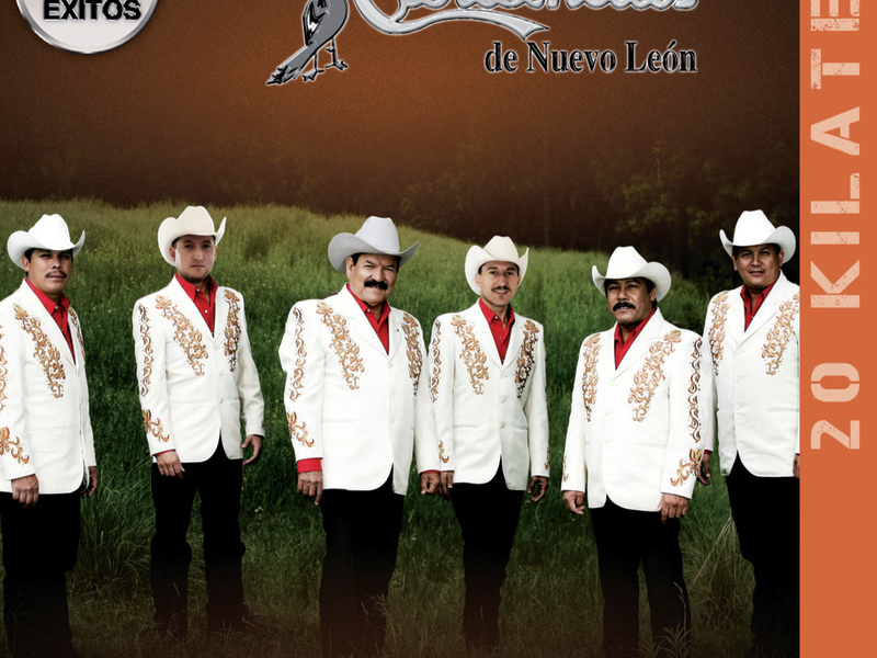 20 Kilates 20 Éxitos