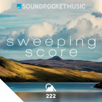 Sweeping Orchestral