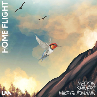 Home Flight (Single)