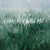 Come Fly With Me (Single)