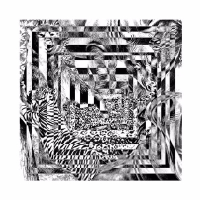 The Legion of Dynamic Dischord