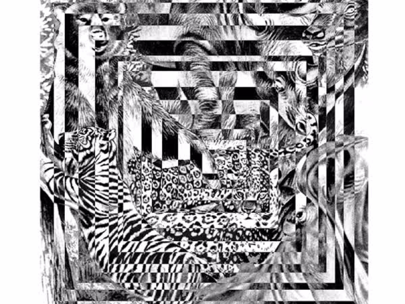 The Legion of Dynamic Dischord