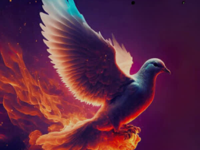 When Doves Fly (feat. N.R.G.Y & iambillydee) (Single)