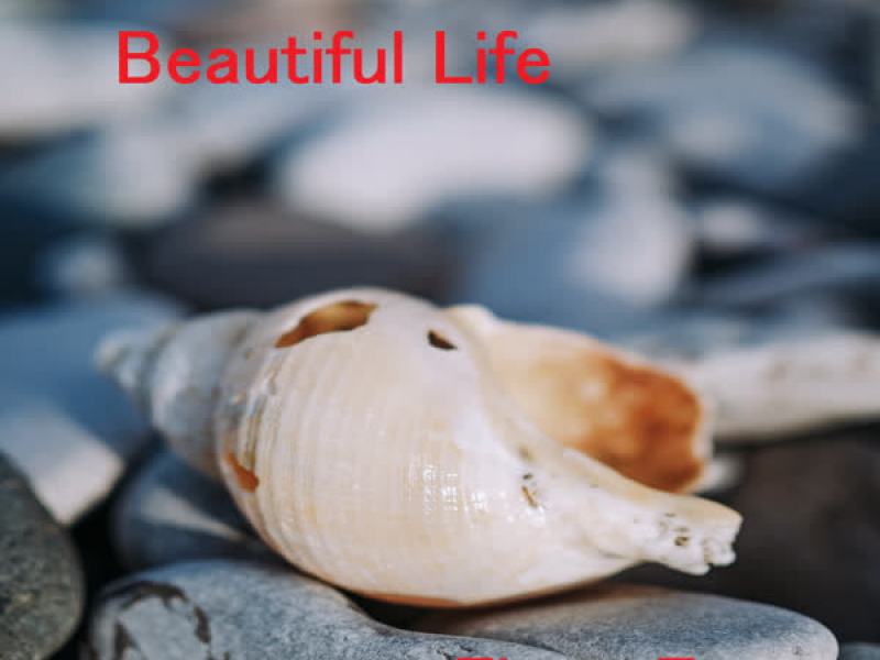 Beautiful Life (Single)