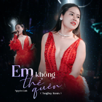 Em Không Thể Quên (TongDuy Remix) (Single)