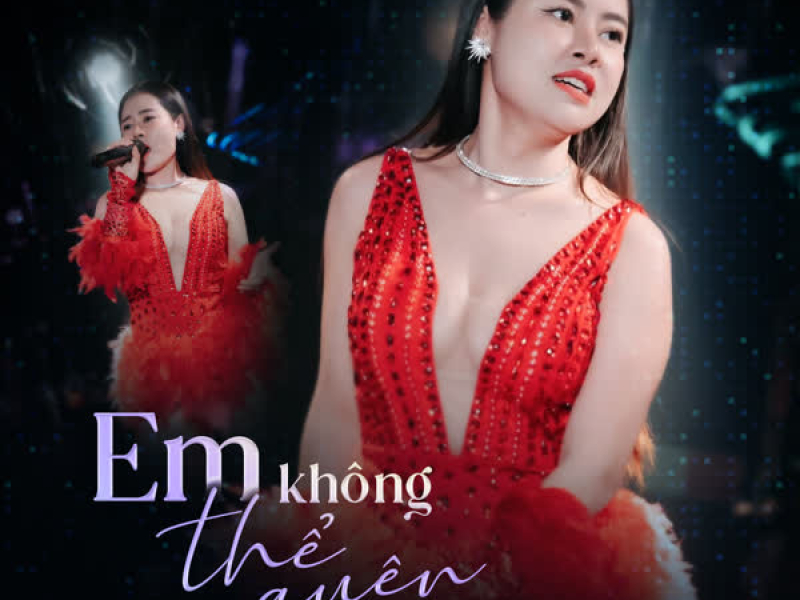 Em Không Thể Quên (TongDuy Remix) (Single)