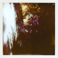 An Ever Changing Place (Single)