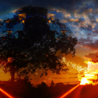 i might walk outside today (feat. Tureen) (ALTERNATE) (Single)