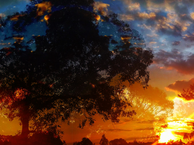 i might walk outside today (feat. Tureen) (ALTERNATE) (Single)