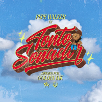 Tonto Soñador (Single)