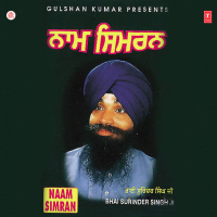 Naam Simran Vol-23 (Single)