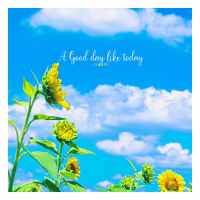 A Good Day Like Today