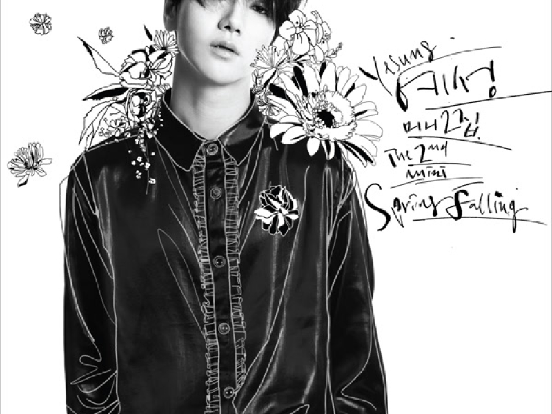 Spring Falling - The 2nd Mini Album