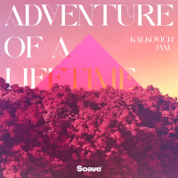 Adventure Of A Lifetime (Single)