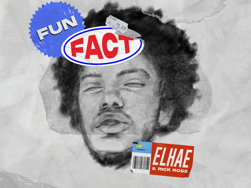 Fun Fact (Single)