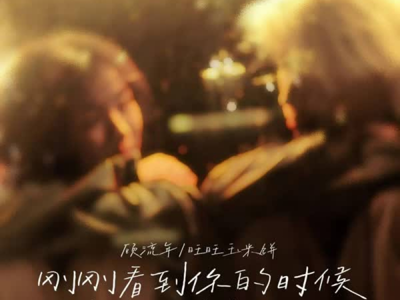 刚刚看到你的时候我都有点恍惚了 (Single)