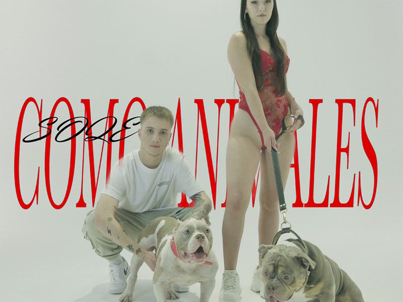 Como Animales (Single)