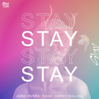 STAY (Single)