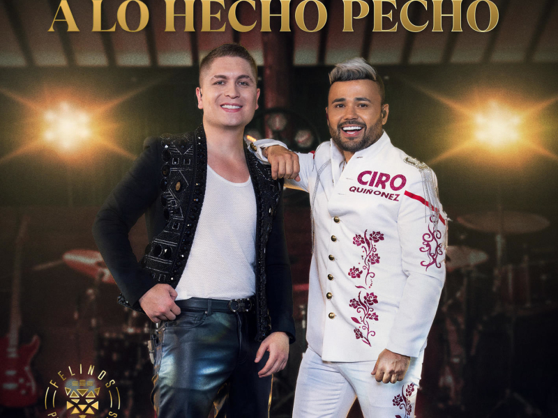 A Lo Hecho Pecho (Single)