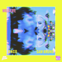 Wild Life (Single)