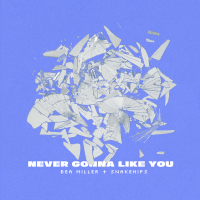 NEVER GONNA LIKE YOU (Single)